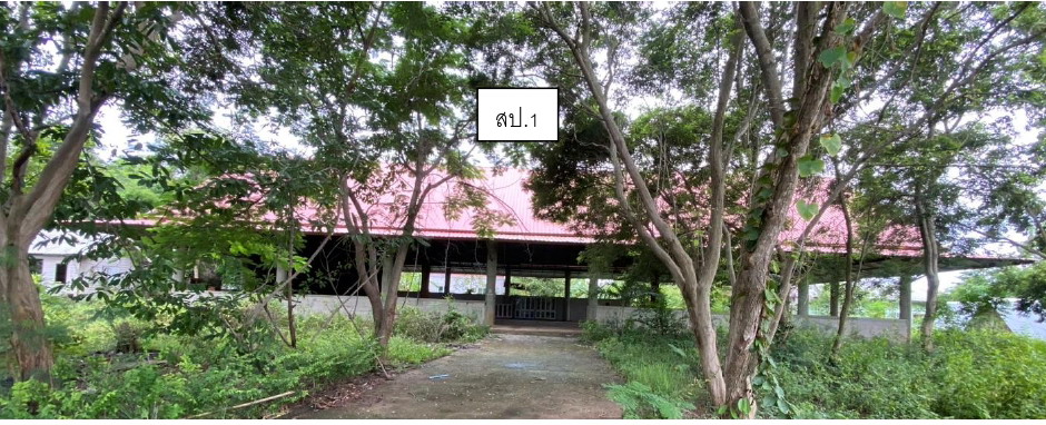 ขายทอดตลาด ที่ดินพร้อมสิ่งปลูกสร้าง ต.ศรีเทพ อ.ศรีเทพ จ.เพชรบูรณ์