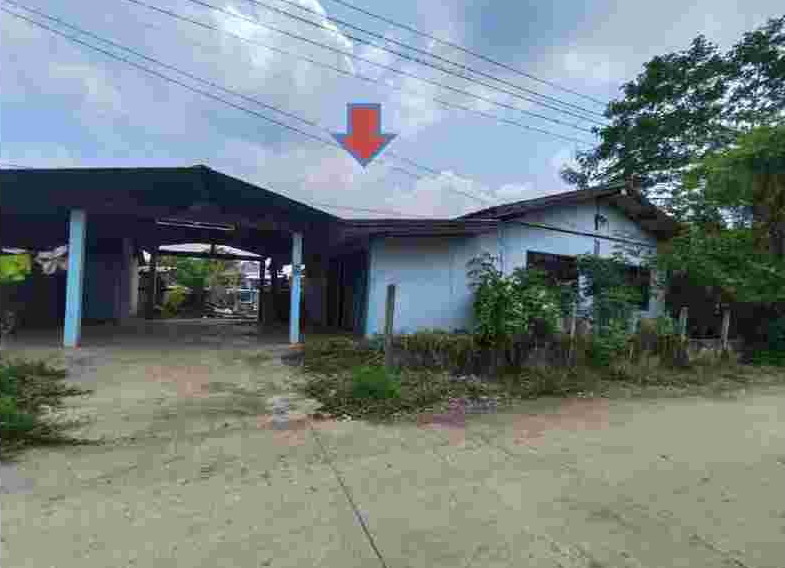 ขายทอดตลาด ที่ดินพร้อมสิ่งปลูกสร้าง ต.สระประดู่ อ.วิเชียรบุรี จ.เพชรบูรณ์