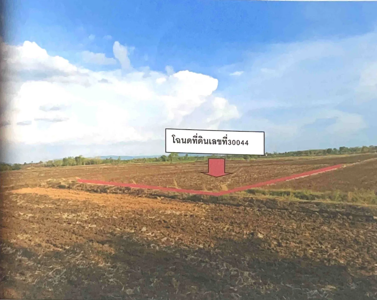 ขายทอดตลาด ที่ดินว่างเปล่า ต.วังโบสถ์ อ.หนองไผ่ จ.เพชรบูรณ์