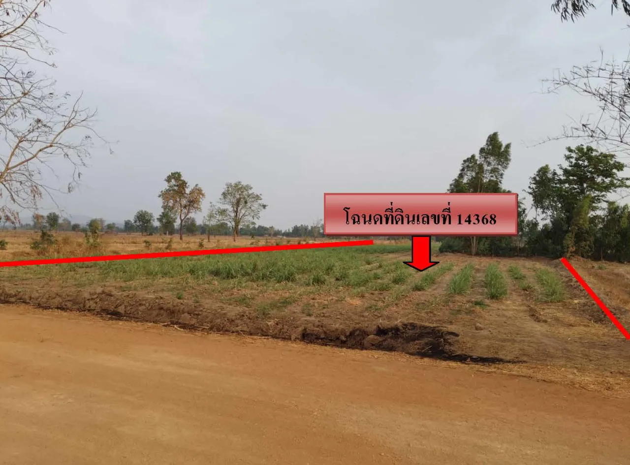 ขายทอดตลาด ที่ดินว่างเปล่า ต.นาสนุ่น อ.ศรีเทพ จ.เพชรบูรณ์