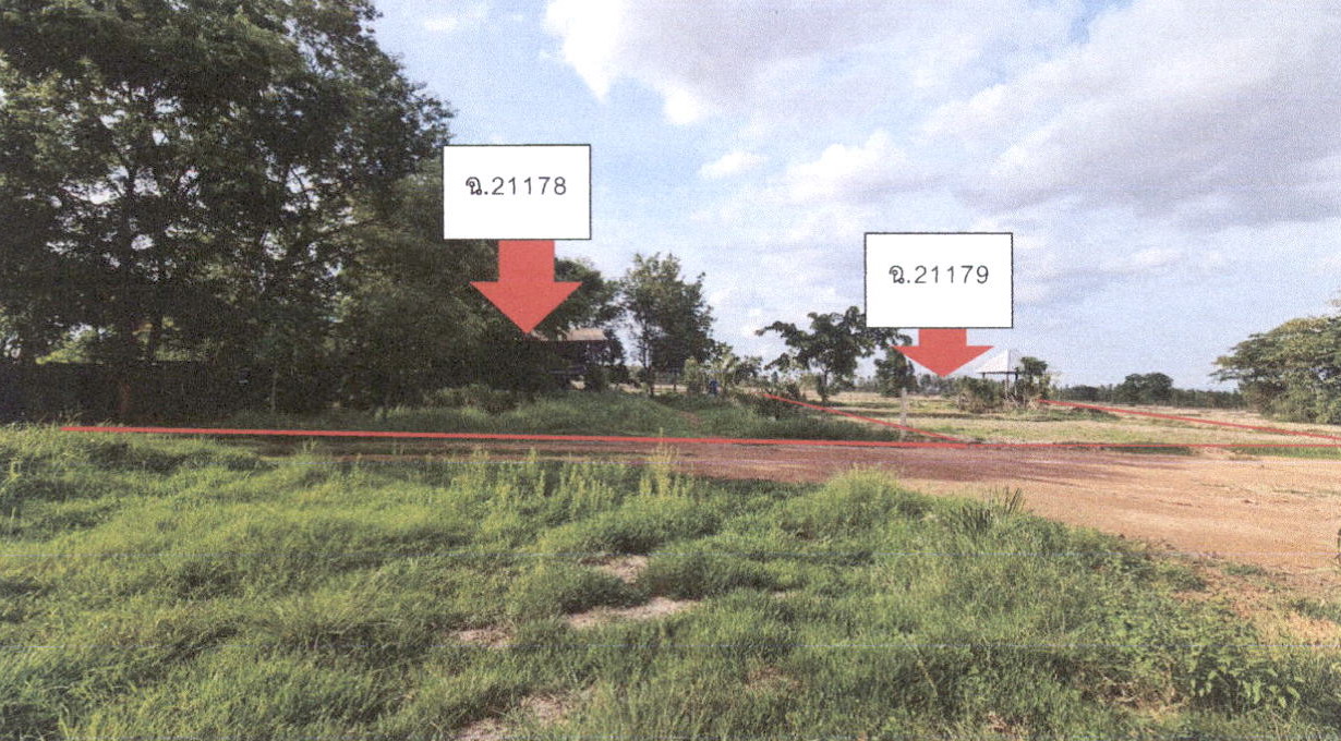 ขายทอดตลาด ที่ดินว่างเปล่า ต.นาสนุ่น อ.ศรีเทพ จ.เพชรบูรณ์