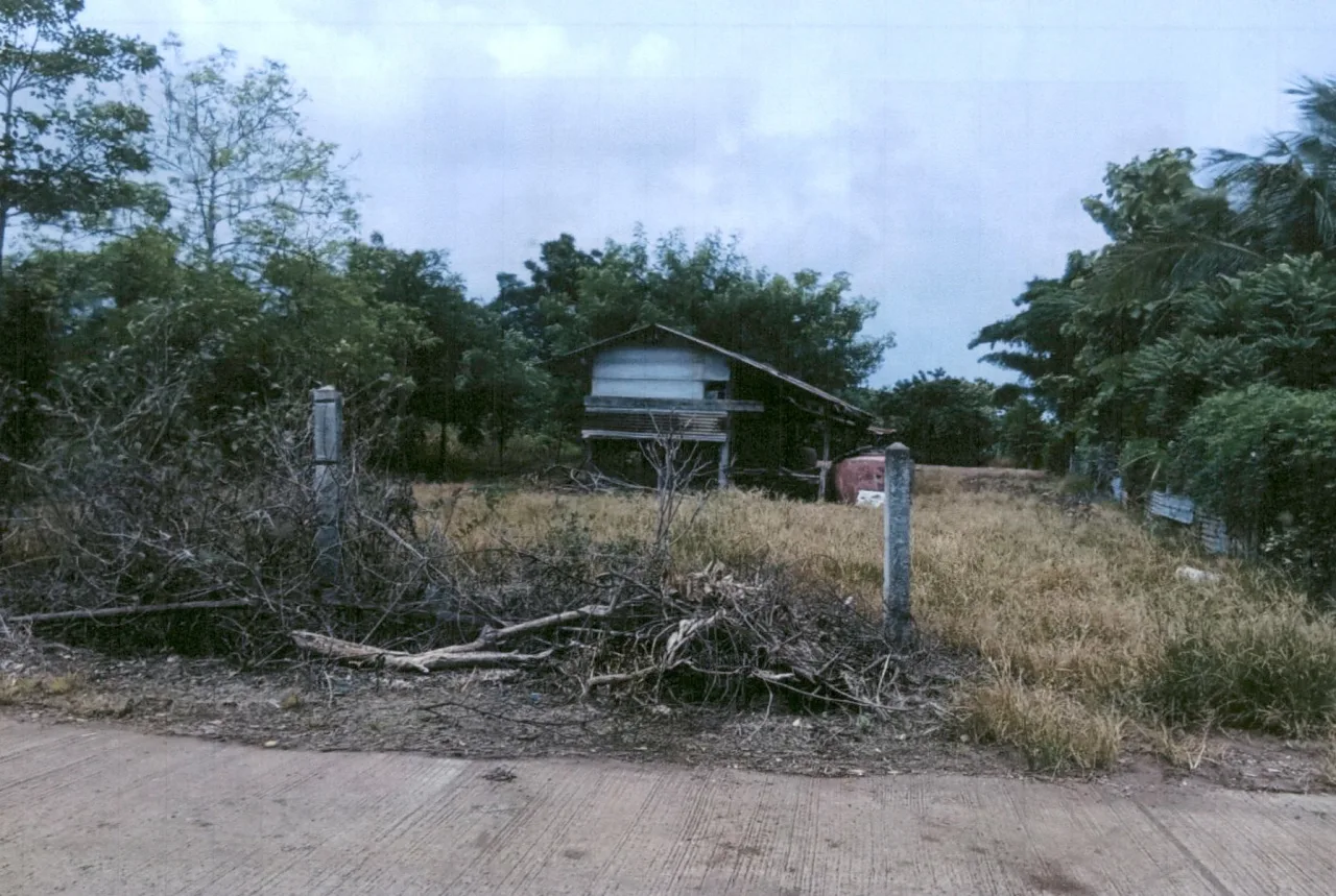 ขายทอดตลาด ที่ดินว่างเปล่า ต.ท่าโรง อ.วิเชียรบุรี จ.เพชรบูรณ์