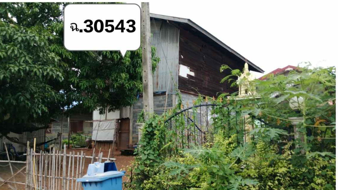 ขายทอดตลาด ที่ดินพร้อมสิ่งปลูกสร้าง ต.เพชรละคร อ.หนองไผ่ จ.เพชรบูรณ์
