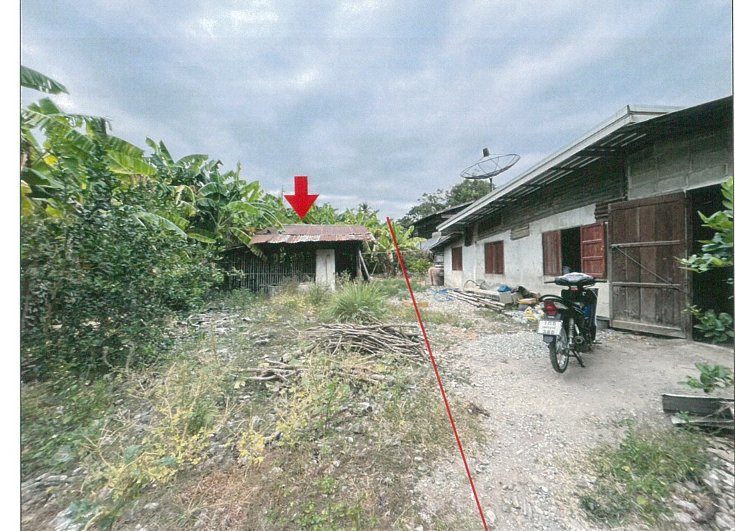 ขายทอดตลาด ที่ดินพร้อมสิ่งปลูกสร้าง ต.พุเตย อ.วิเชียรบุรี จ.เพชรบูรณ์