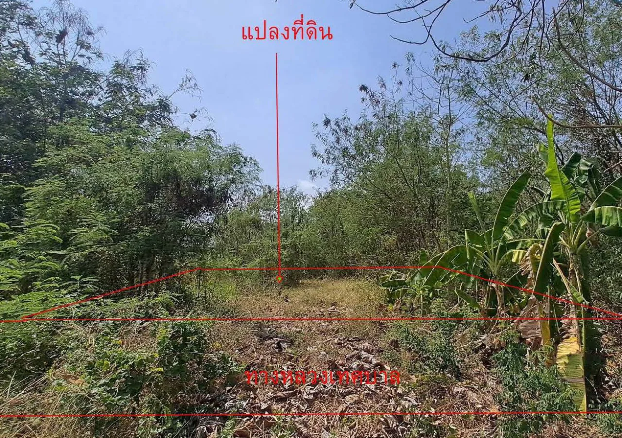 ขายทอดตลาด ที่ดินว่างเปล่า ต.ท่าโรง อ.วิเชียรบุรี จ.เพชรบูรณ์