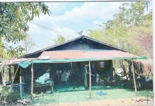 ขายทอดตลาด ที่ดินพร้อมสิ่งปลูกสร้าง ต.วังท่าดี อ.หนองไผ่ จ.เพชรบูรณ์