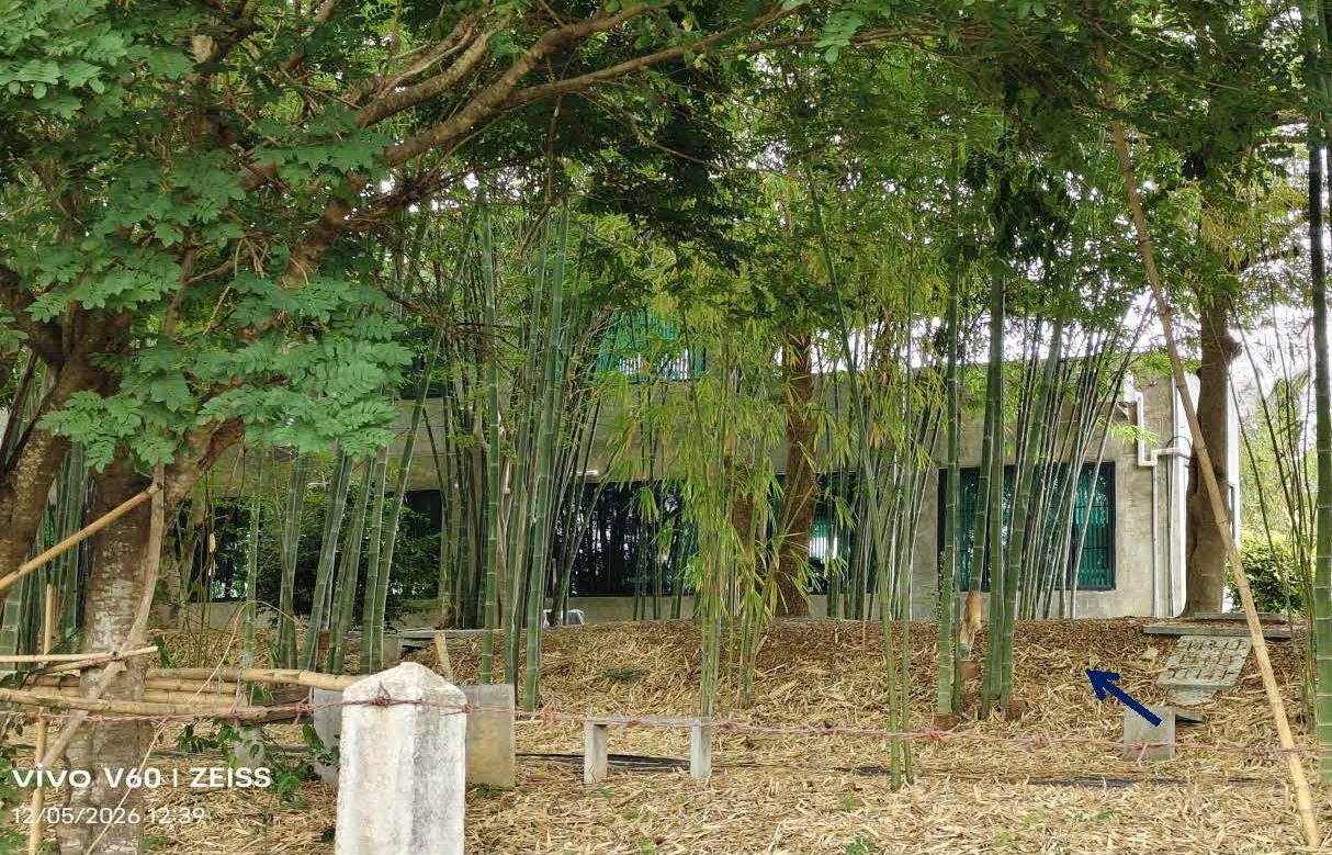 ขายทอดตลาด ที่ดินพร้อมสิ่งปลูกสร้าง ต.บ้านโภชน์ อ.หนองไผ่ จ.เพชรบูรณ์