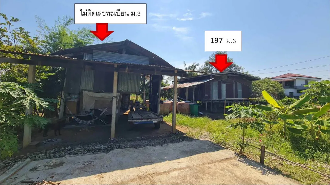 ขายทอดตลาด ที่ดินพร้อมสิ่งปลูกสร้าง ต.นาเฉลียง อ.หนองไผ่ จ.เพชรบูรณ์