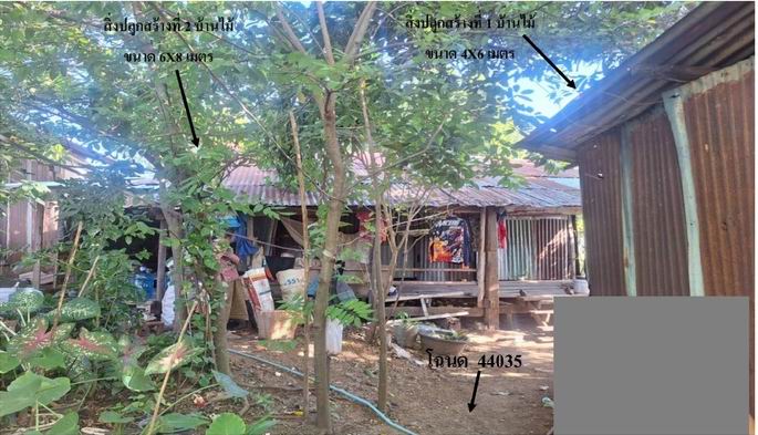 ขายทอดตลาด ที่ดินพร้อมสิ่งปลูกสร้าง ต.หนองไผ่ อ.หนองไผ่ จ.เพชรบูรณ์