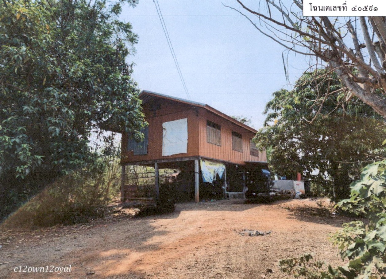 ขายทอดตลาด ที่ดินพร้อมสิ่งปลูกสร้าง ต.นาเฉลียง อ.หนองไผ่ จ.เพชรบูรณ์
