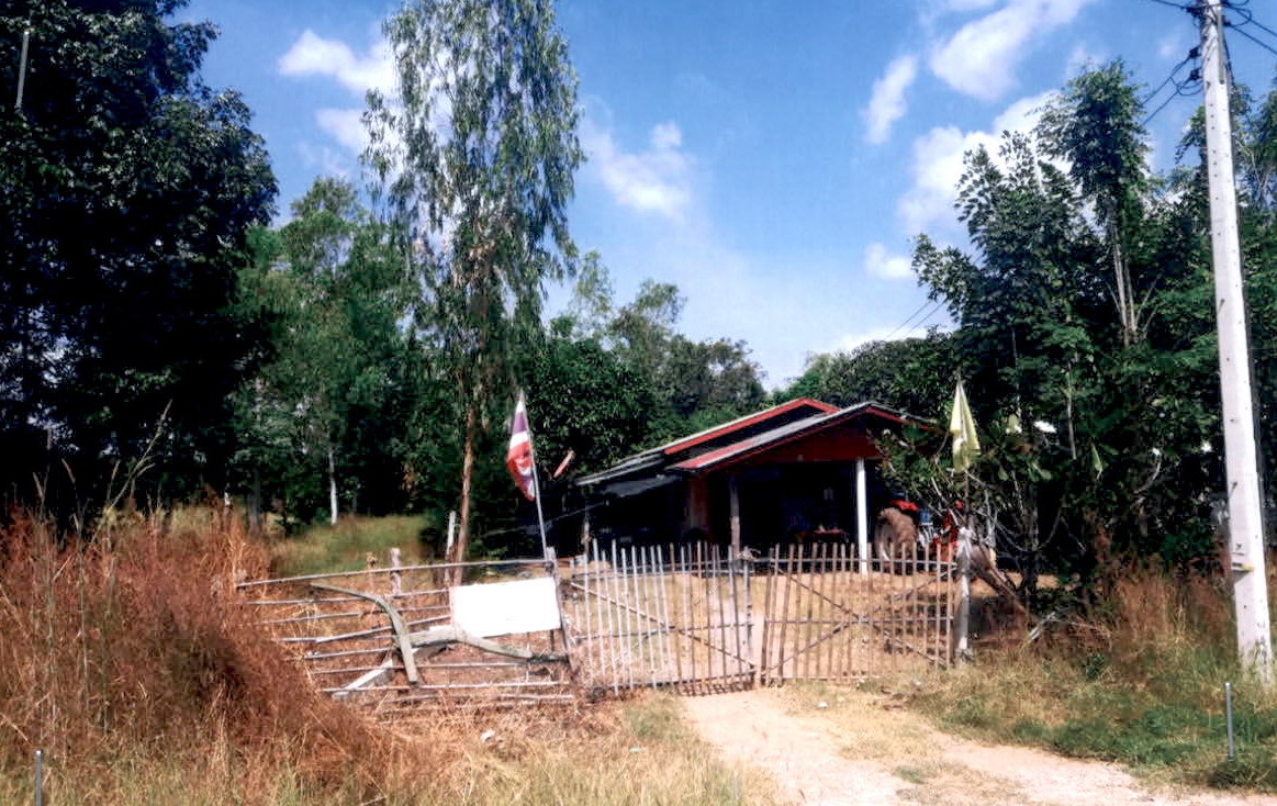 ขายทอดตลาด ที่ดินพร้อมสิ่งปลูกสร้าง ต.กองทูล อ.หนองไผ่ จ.เพชรบูรณ์