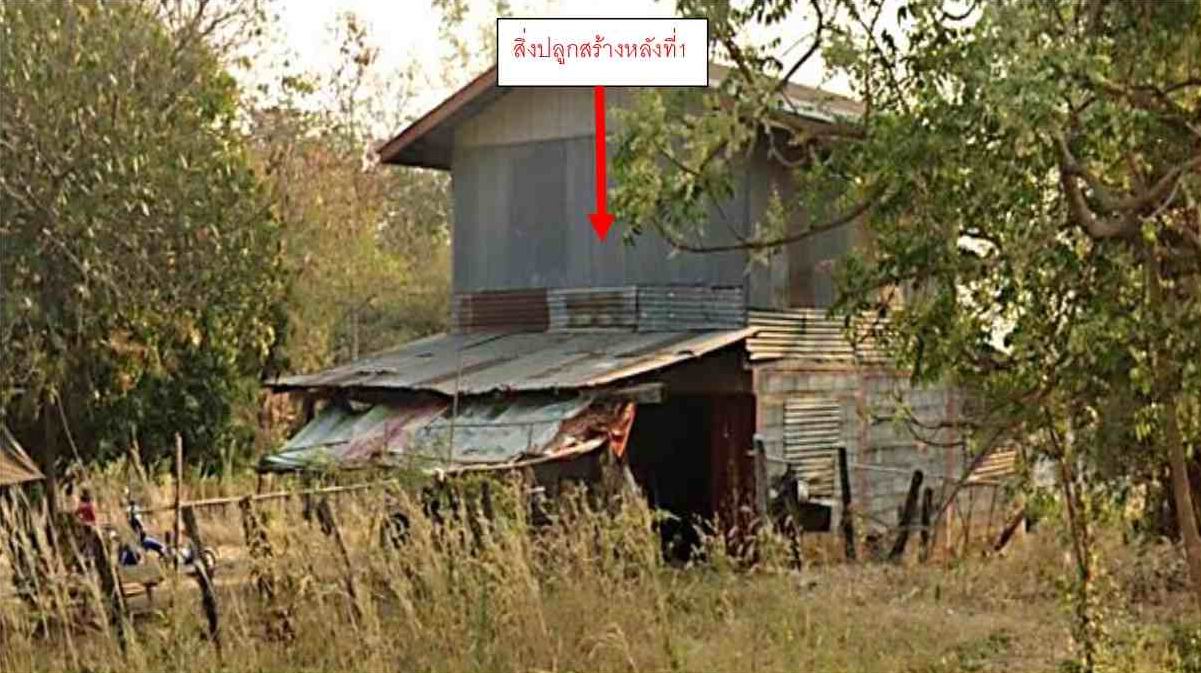 ขายทอดตลาด ที่ดินพร้อมสิ่งปลูกสร้าง ต.วังโบสถ์ อ.หนองไผ่ จ.เพชรบูรณ์