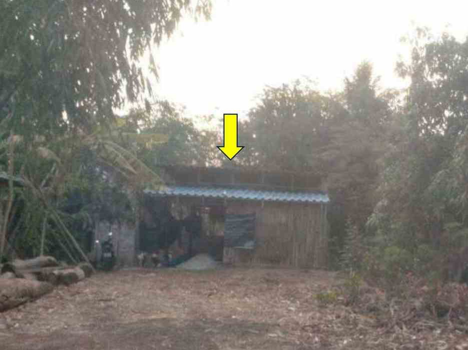 ขายทอดตลาด ที่ดินพร้อมสิ่งปลูกสร้าง ต.ท่าโรง อ.วิเชียรบุรี จ.เพชรบูรณ์