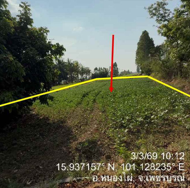 ขายทอดตลาด ที่ดินว่างเปล่า ต.กองทูล อ.หนองไผ่ จ.เพชรบูรณ์