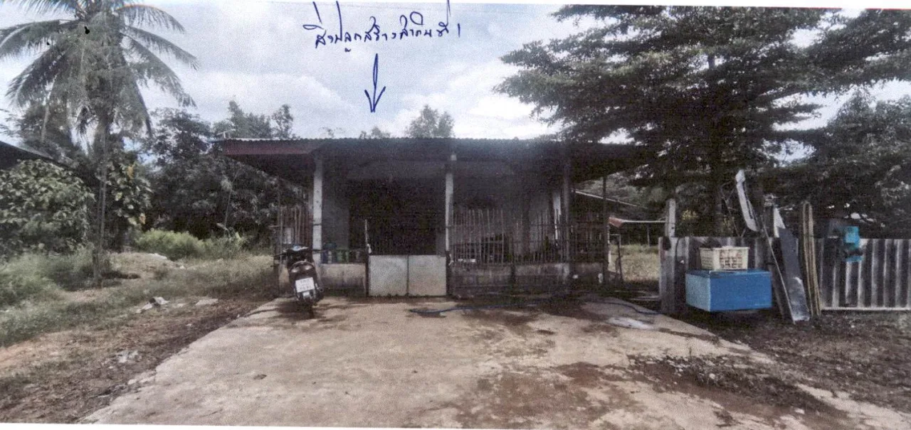 ขายทอดตลาด ที่ดินพร้อมสิ่งปลูกสร้าง ต.นาสนุ่น อ.ศรีเทพ จ.เพชรบูรณ์
