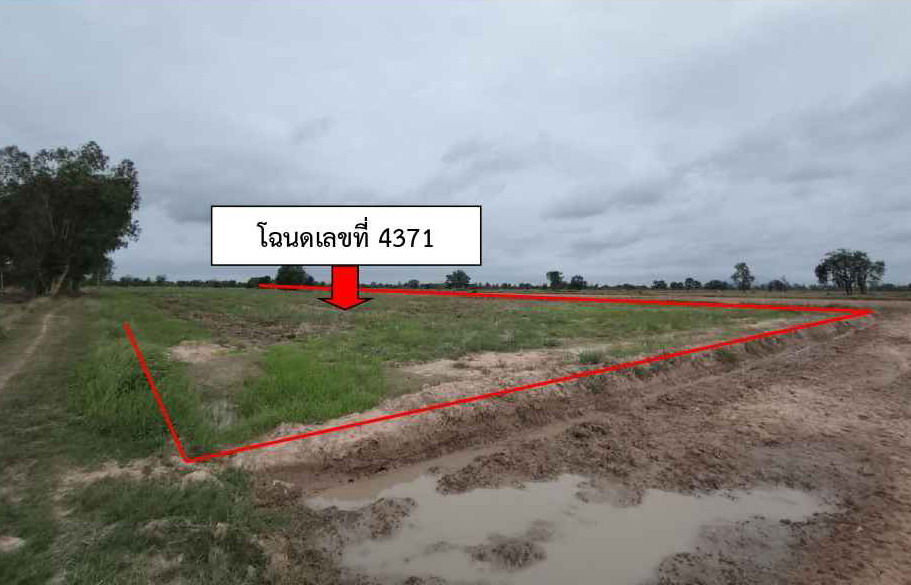 ขายทอดตลาด ที่ดินว่างเปล่า จ.เพชรบูรณ์