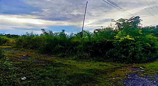 ขายทอดตลาด ที่ดินว่างเปล่า ต.บ้านพริก อ.บ้านนา จ.นครนายก