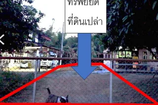 รูปทรัพย์ 10