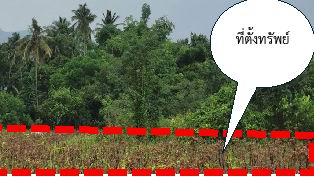 ขายทอดตลาด ที่ดินว่างเปล่า ต.นาเกาะ อ.หล่มเก่า จ.เพชรบูรณ์