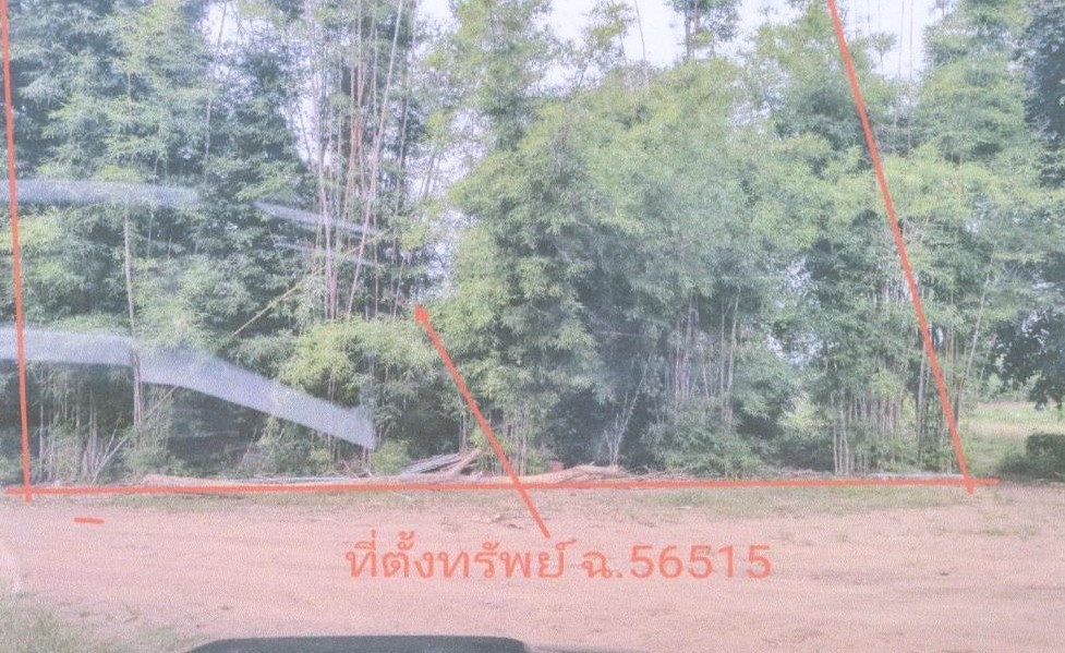 ขายทอดตลาด ที่ดินว่างเปล่า ต.น้ำชุน อ.หล่มสัก จ.เพชรบูรณ์
