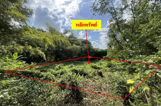 ขายทอดตลาด ที่ดินว่างเปล่า ต.ศิลา อ.หล่มเก่า จ.เพชรบูรณ์