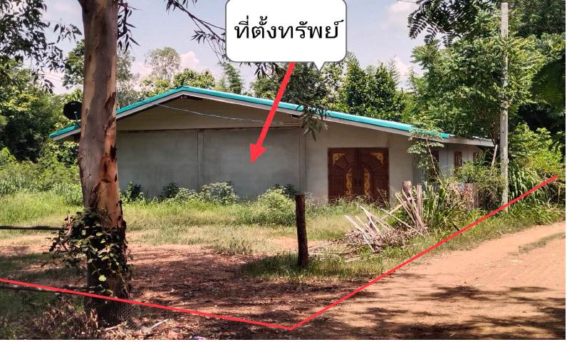 ขายทอดตลาด ที่ดินพร้อมสิ่งปลูกสร้าง ต.ช้างตะลูด อ.หล่มสัก จ.เพชรบูรณ์