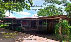 ขายทอดตลาด ที่ดินพร้อมสิ่งปลูกสร้าง ต.บ้านโสก อ.หล่มสัก จ.เพชรบูรณ์