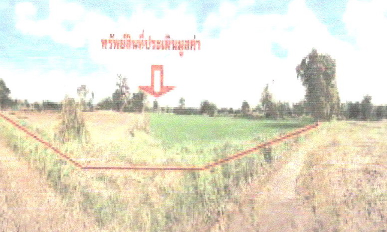 ขายทอดตลาด ที่ดินว่างเปล่า ต.กุดตุ้ม อ.เมืองชัยภูมิ จ.ชัยภูมิ
