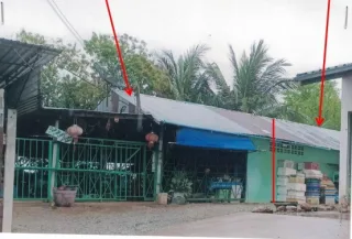 รูปทรัพย์ 1