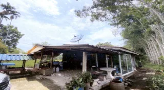 รูปทรัพย์ 2