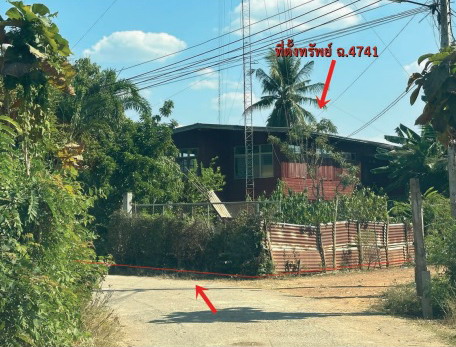 ขายทอดตลาด ที่ดินพร้อมสิ่งปลูกสร้าง ต.บ้านโสก อ.หล่มสัก จ.เพชรบูรณ์