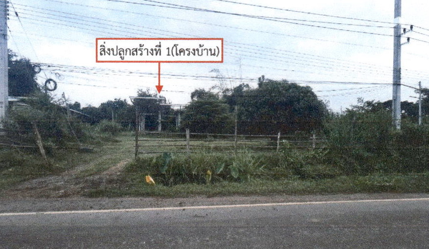ขายทอดตลาด ที่ดินพร้อมสิ่งปลูกสร้าง ต.ช้างตะลูด อ.หล่มสัก จ.เพชรบูรณ์