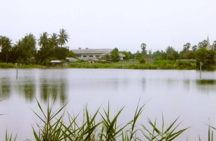 ขายทอดตลาด ที่ดินว่างเปล่า ต.วัดละมุด อ.นครชัยศรี จ.นครปฐม