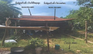 รูปทรัพย์ 1