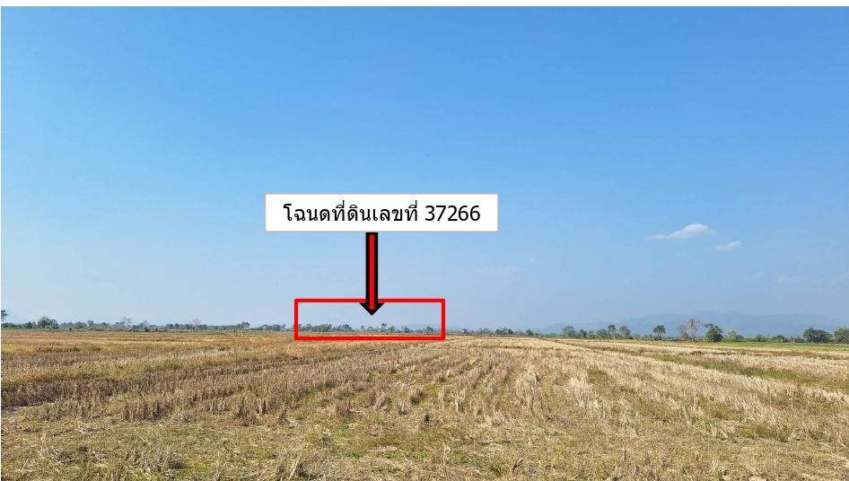 ขายทอดตลาด ที่ดินว่างเปล่า ต.ศรีเมืองชุม อ.แม่สาย จ.เชียงราย