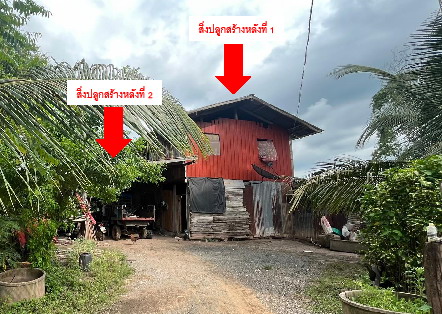 ขายทอดตลาด ที่ดินพร้อมสิ่งปลูกสร้าง ต.บุ่งคล้า อ.หล่มสัก จ.เพชรบูรณ์