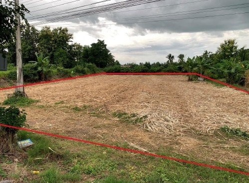 ขายทอดตลาด ที่ดินว่างเปล่า จ.เพชรบูรณ์