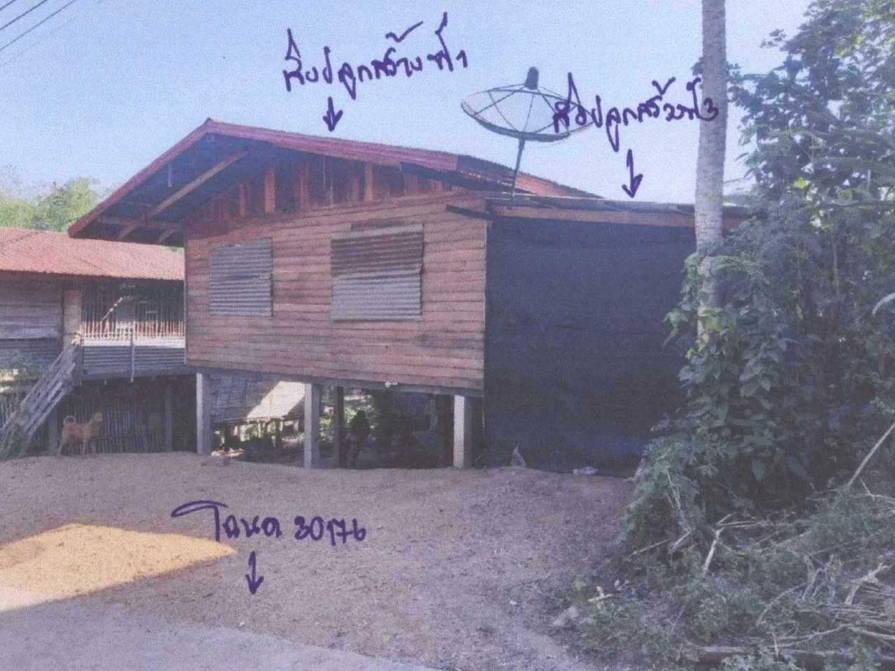 ขายทอดตลาด ที่ดินพร้อมสิ่งปลูกสร้าง ต.ศิลา อ.หล่มเก่า จ.เพชรบูรณ์