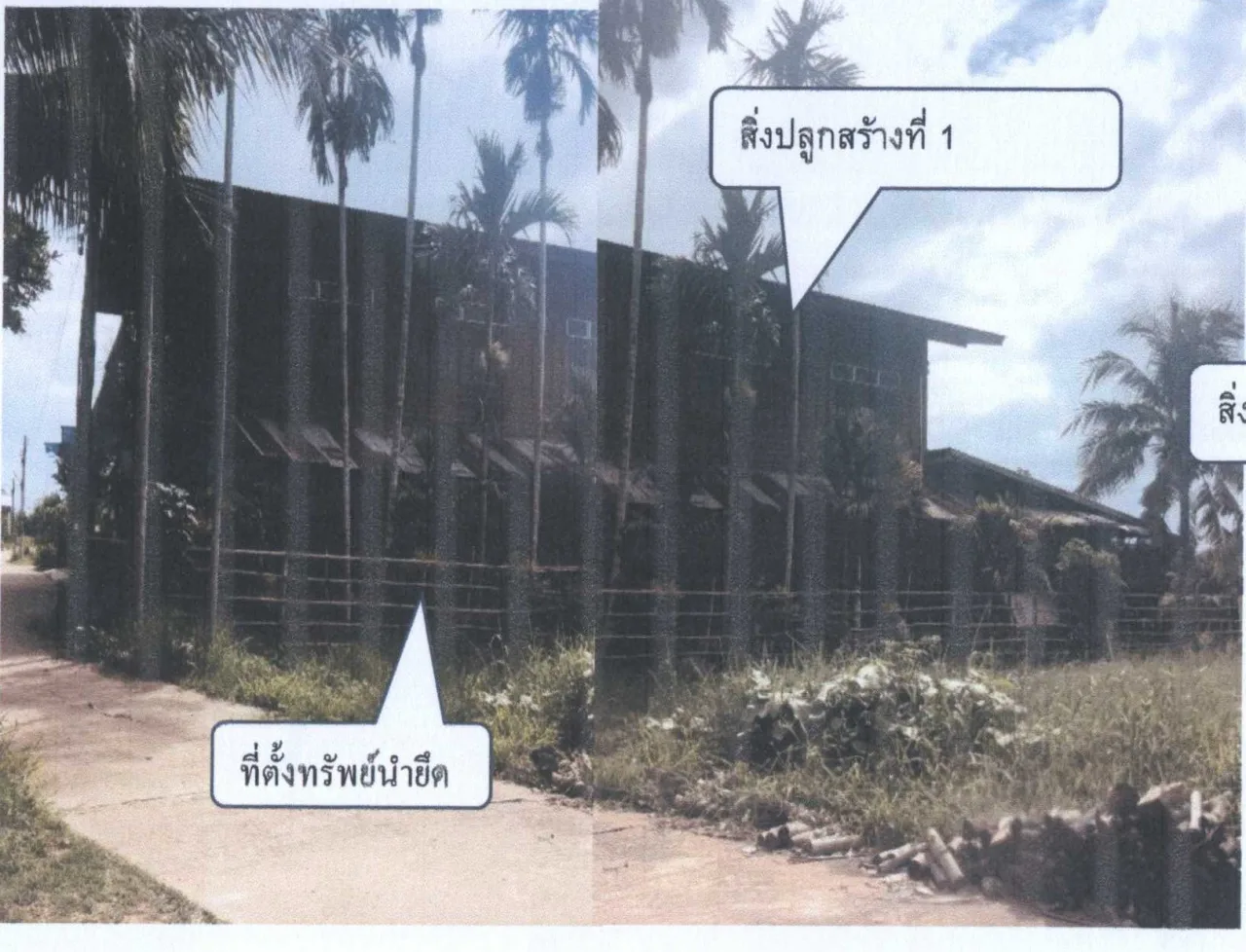 ขายทอดตลาด ที่ดินพร้อมสิ่งปลูกสร้าง ต.บ้านติ้ว อ.หล่มสัก จ.เพชรบูรณ์