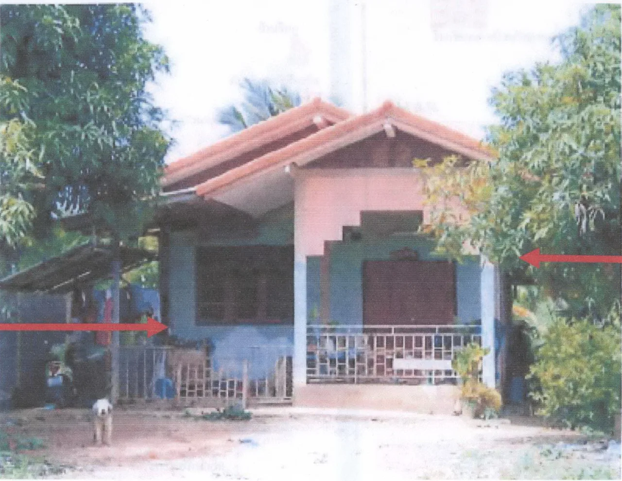 ขายทอดตลาด ที่ดินพร้อมสิ่งปลูกสร้าง ต.แคมป์สน อ.เขาค้อ จ.เพชรบูรณ์