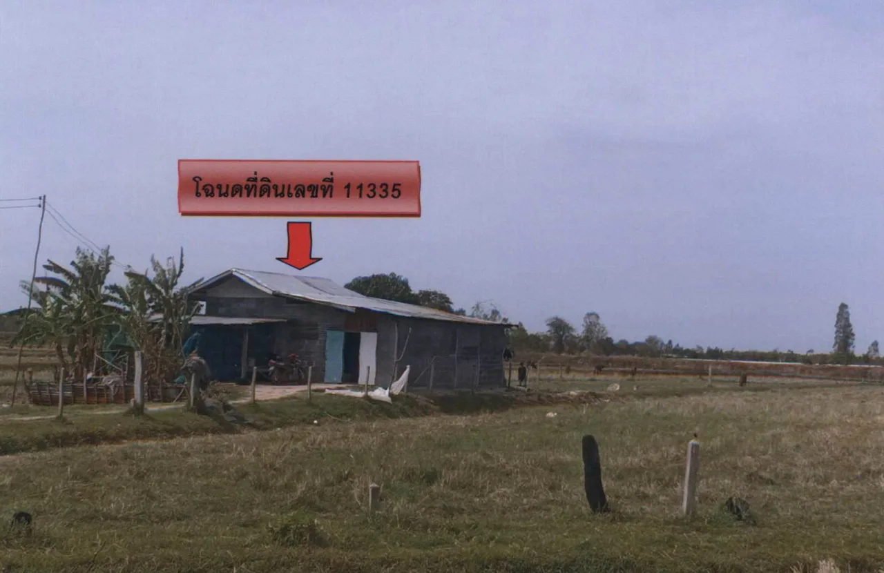 ขายทอดตลาด ที่ดินพร้อมสิ่งปลูกสร้าง ต.โพธิ์ใหญ่ อ.พนมไพร จ.ร้อยเอ็ด