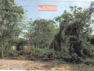 รูปทรัพย์ 2