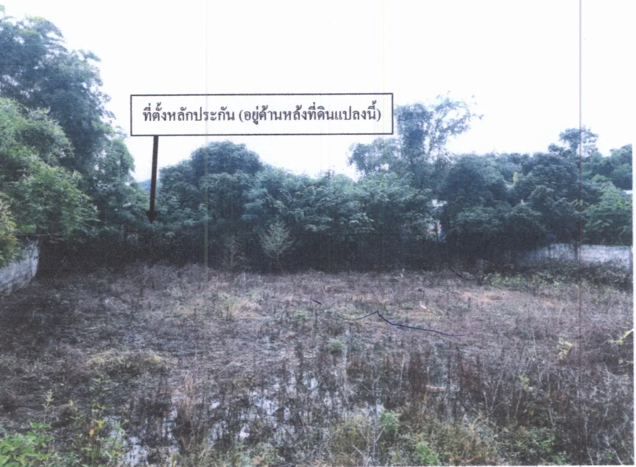 ขายทอดตลาด ที่ดินว่างเปล่า ต.น้ำสวย อ.เมืองเลย จ.เลย