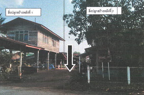 ขายทอดตลาด ที่ดินพร้อมสิ่งปลูกสร้าง ต.หนองหญ้าปล้อง อ.วังสะพุง จ.เลย