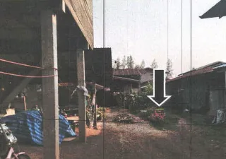 รูปทรัพย์ 2