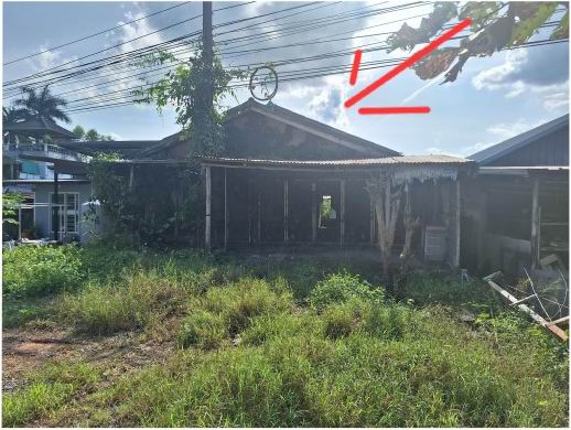 ขายทอดตลาด ที่ดินพร้อมสิ่งปลูกสร้าง ต.ผานกเค้า อ.ภูกระดึง จ.เลย