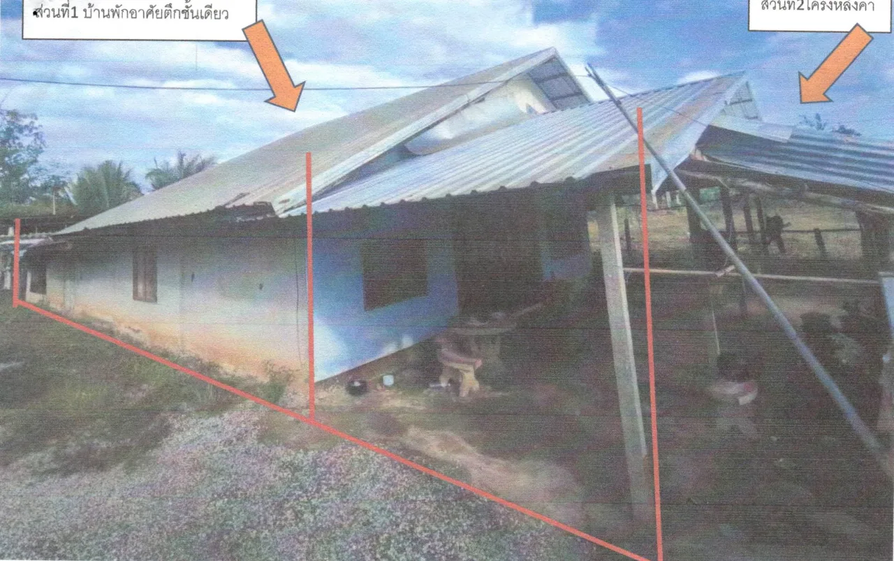 ขายทอดตลาด ที่ดินพร้อมสิ่งปลูกสร้าง ต.ผาบิ้ง อ.วังสะพุง จ.เลย