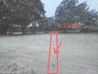รูปทรัพย์ 2