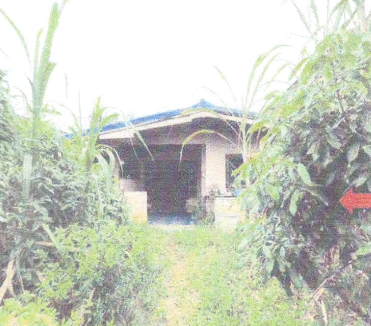 ขายทอดตลาด ที่ดินพร้อมสิ่งปลูกสร้าง ต.ภูหอ อ.ภูหลวง จ.เลย
