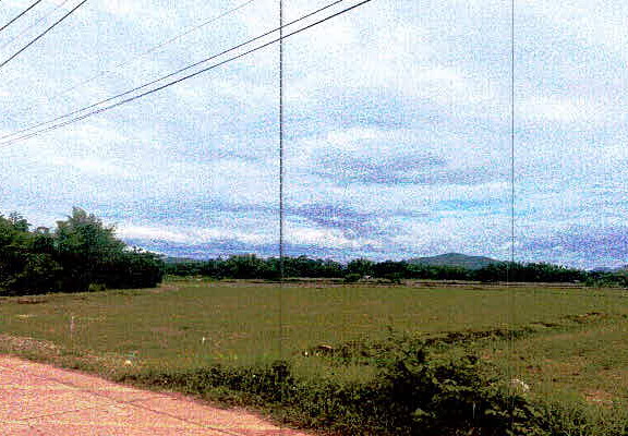 ขายทอดตลาด ที่ดินว่างเปล่า ต.หนองผือ อ.ท่าลี่ จ.เลย